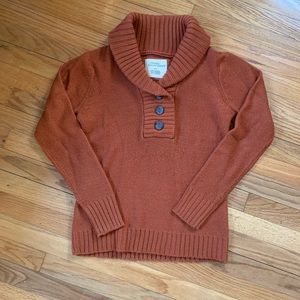 Natural Reflections cowl neck sweater